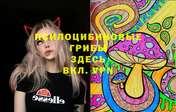 стаф Балабаново