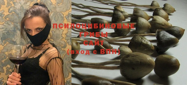 стаф Балабаново