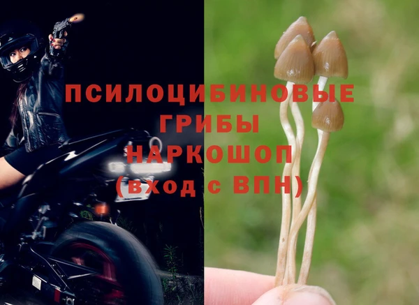 прущие крисы Балахна