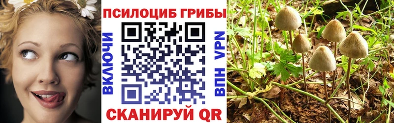 Галлюциногенные грибы мицелий  Красный Холм 